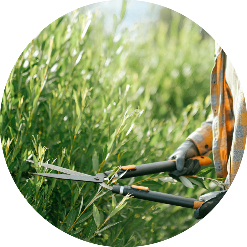 Kompletní úprava zahrady na Vysočině