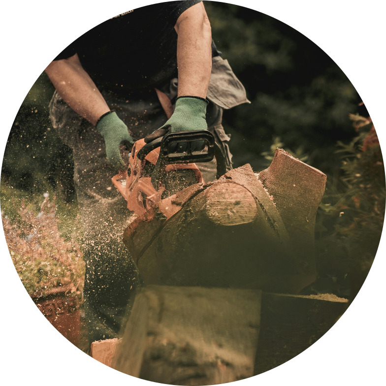 Řezání palivového dřeva v Česku